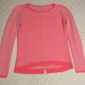 The Gap sweater